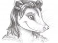 Didelphis.jpg